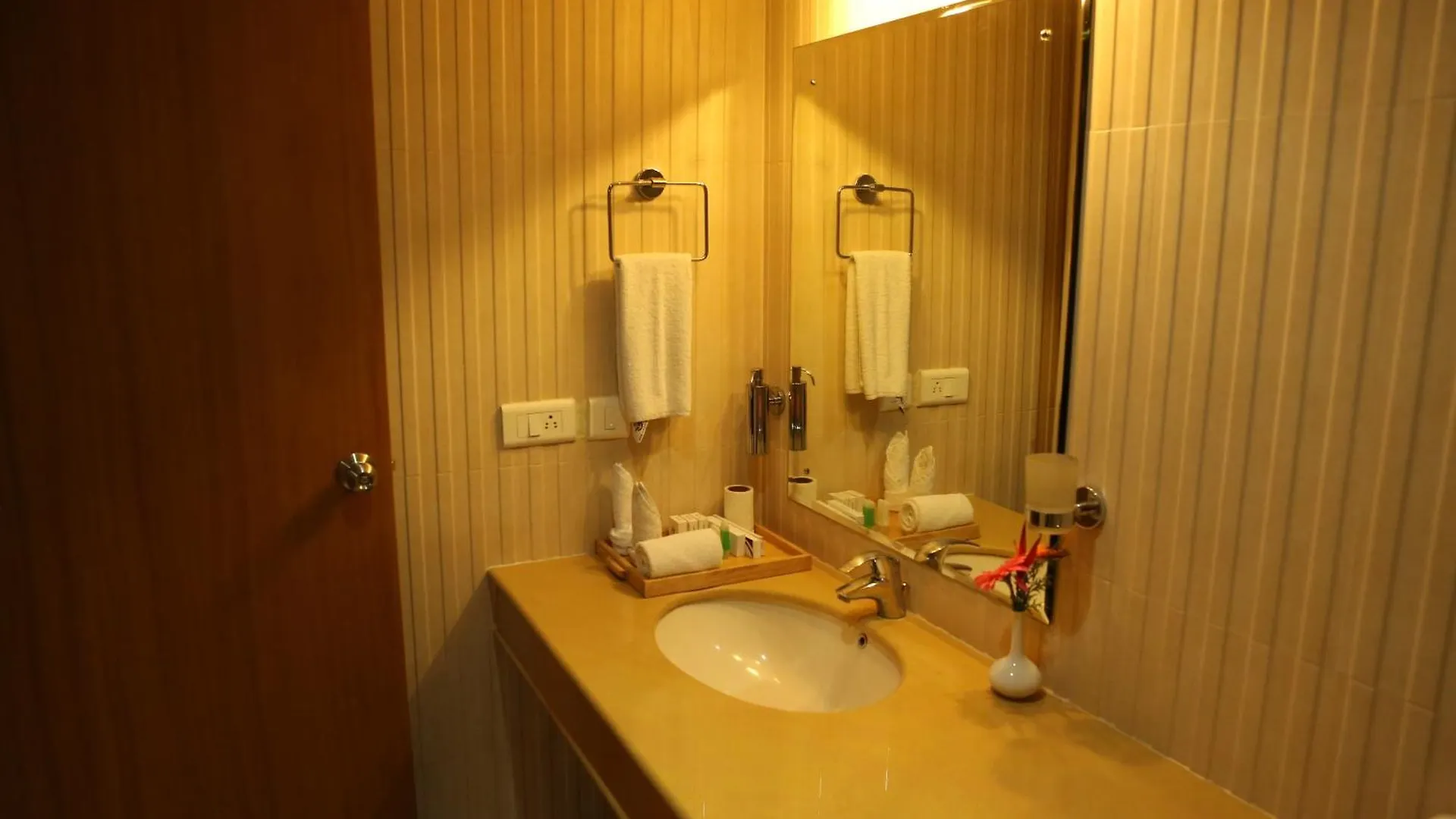 Hotel Airlink Castle Nedumbassery 4*,  India
