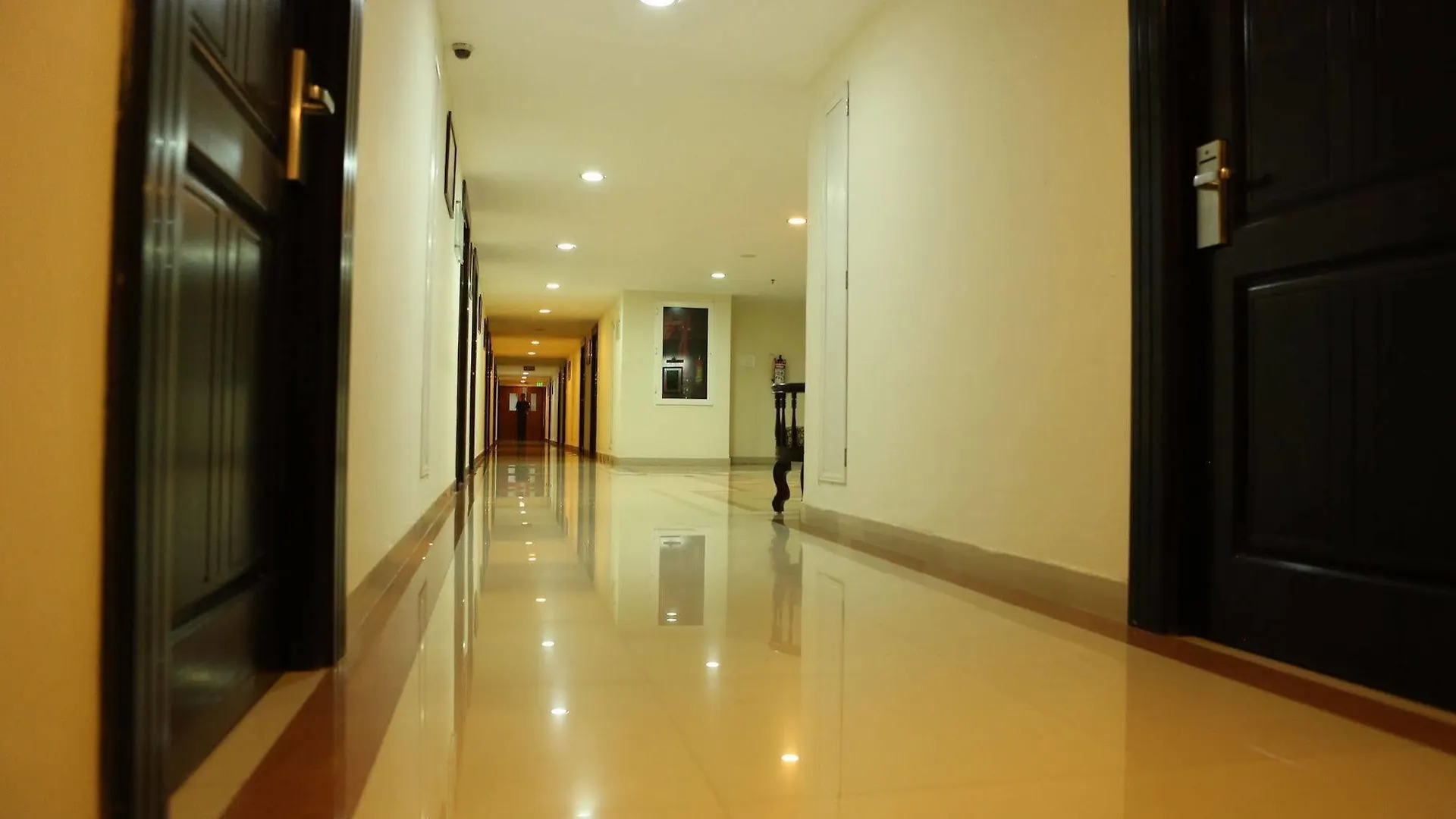 Hotel Airlink Castle Nedumbassery 4*,